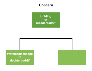 concern holding werkmaatschappij