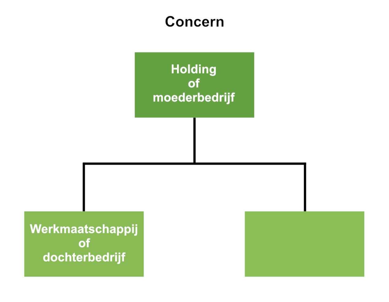 Intimidatie Specialiteit Moskee Holding met werkmaatschappij 699.- ex - DoeHetZelfNotaris