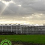 Cooperatie Kassen