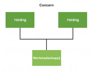 Twee holdings met werkmaatschappij 1100.- ex DoeHetZelfNotaris